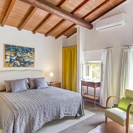 Amazing In Tatil Evi